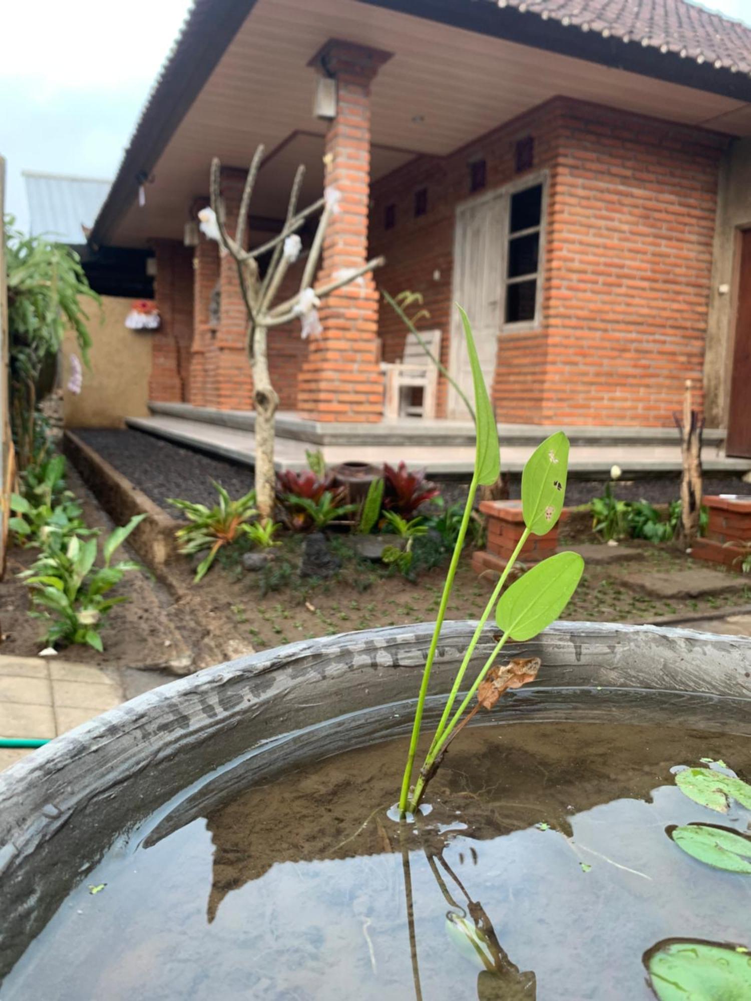 Ambara Guest House Tampaksiring エクステリア 写真